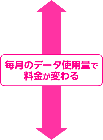 毎月のデータ使用量で料金が変わる