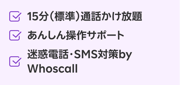 ３つのオプションリスト