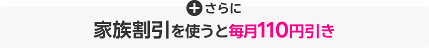 さらに家族割引を使うと100円/月(税別)引き