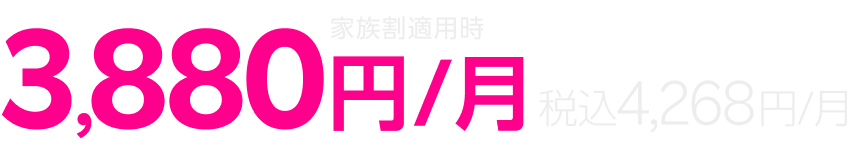 家族割適用時 3,880円/月 税込4,268円/月