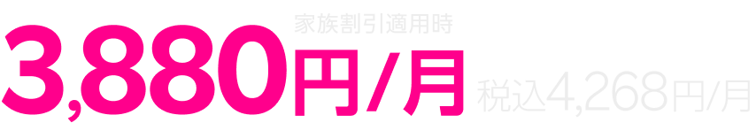 家族割引適用時 3,880円/月 税込4,268円/月