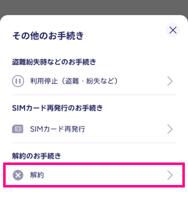 3. 「その他のお手続き」をタップし、「解約」をタップする
