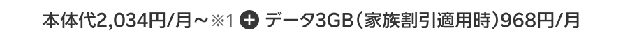 本体代2,034円/月~※1+データ3GB(家族割引適用時)968円/月