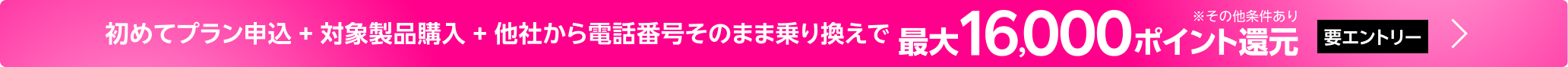 【要エントリー】初めてプラン申込 + 対象製品購入 + 他社から電話番号そのまま乗り換え 最大16,000ポイント還元