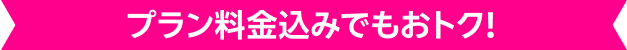 プラン料金込みでもおトク！