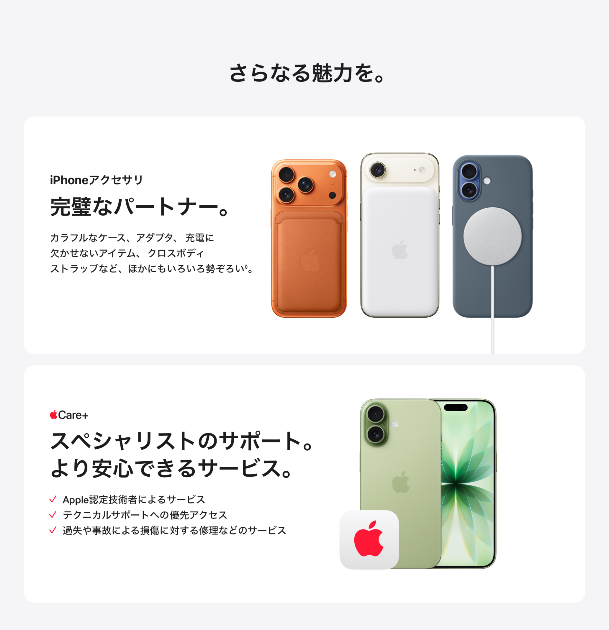 さらなる魅力を。