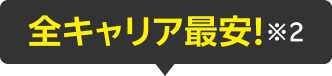 全キャリア最安！※2