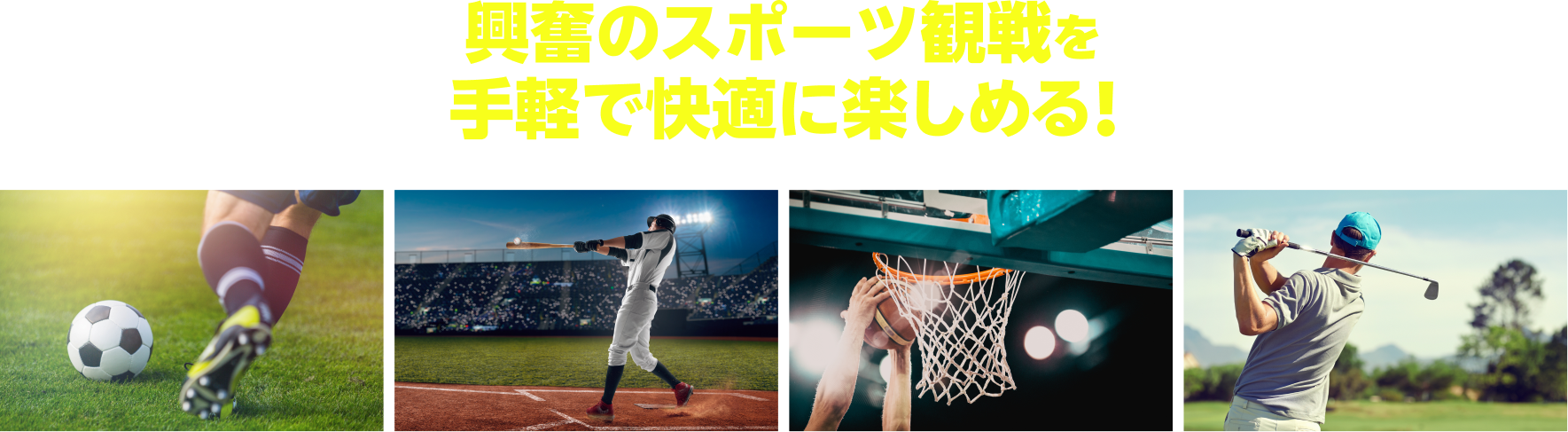 興奮のスポーツ観戦を手軽で快適に楽しめる！
