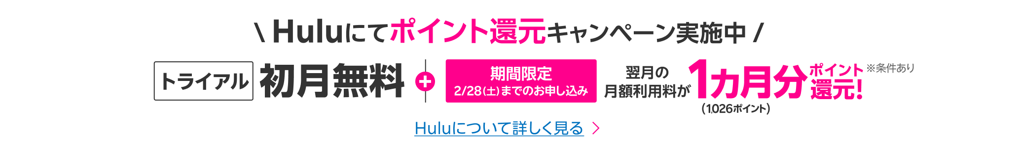 Huluにてポイント還元キャンペーン実施中。楽天モバイル初月無料トライアル+翌月の月額利用料1カ月分(1,026ポイント)ポイント還元【期間限定】2月28日(土) までのお申し込み。※条件あり