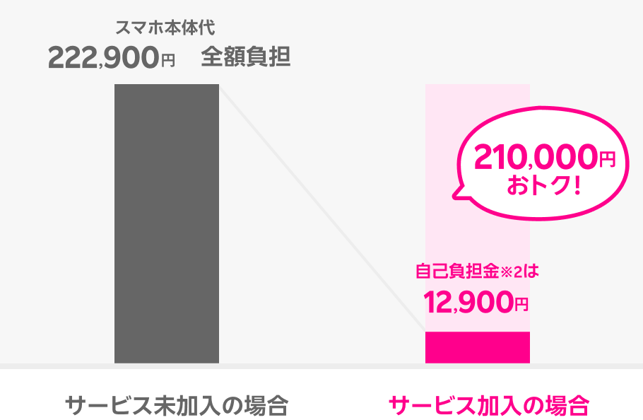 故障紛失保証 with AppleCare Services & iCloud+に加入していれば自己負担金は12,900円に抑えられます。